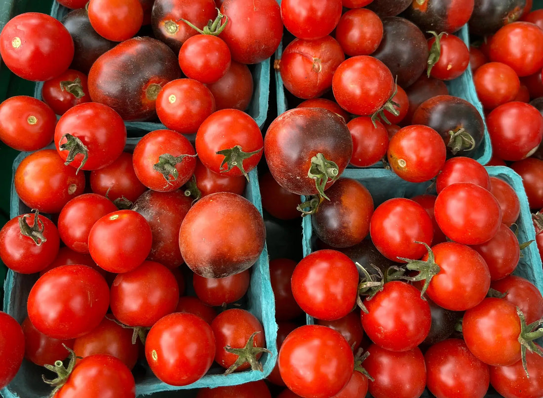 Tomatoes in baskets