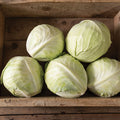 Green Cabbage, Organic