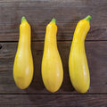Summer Squash, Organic