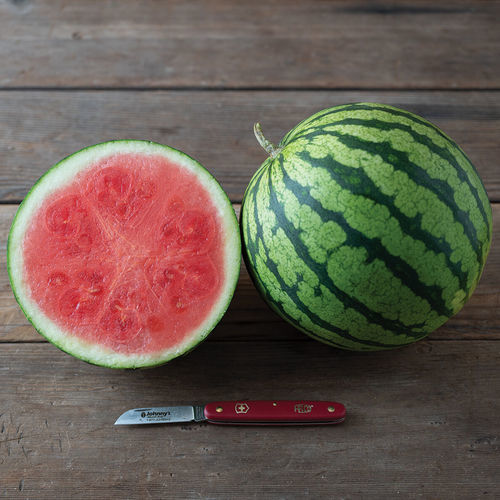 Mini Watermelon, Seedless, Red