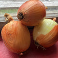 Onions, Yellow