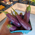 Fairytale Eggplant