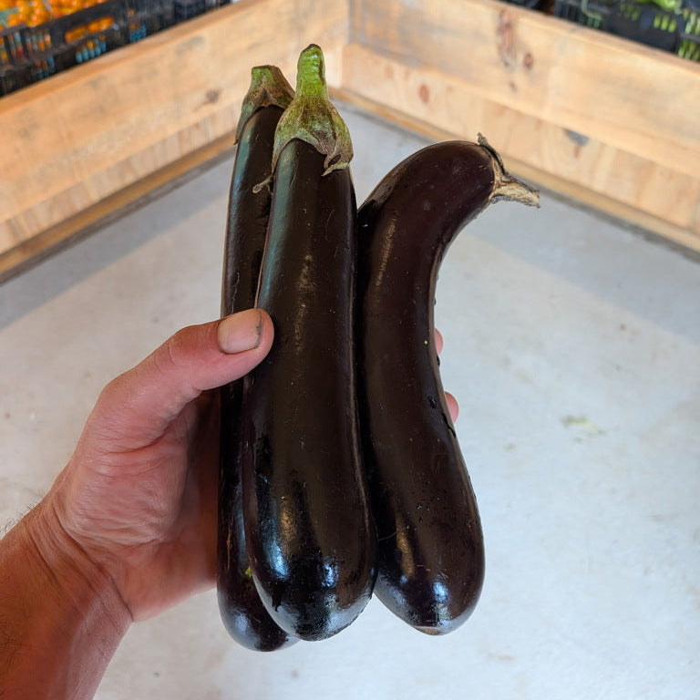 Asian Eggplant