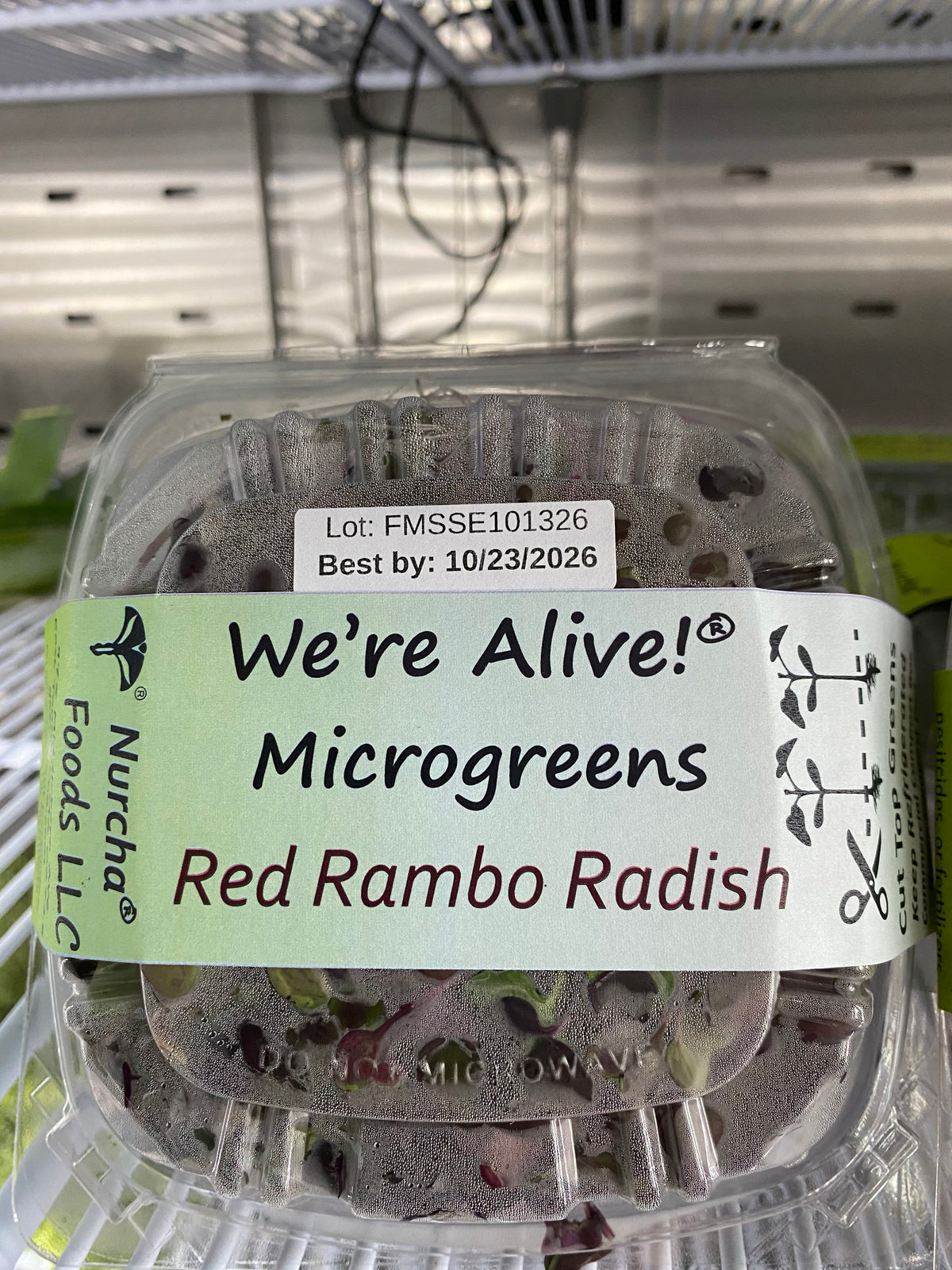 Micro Greens, Radishes