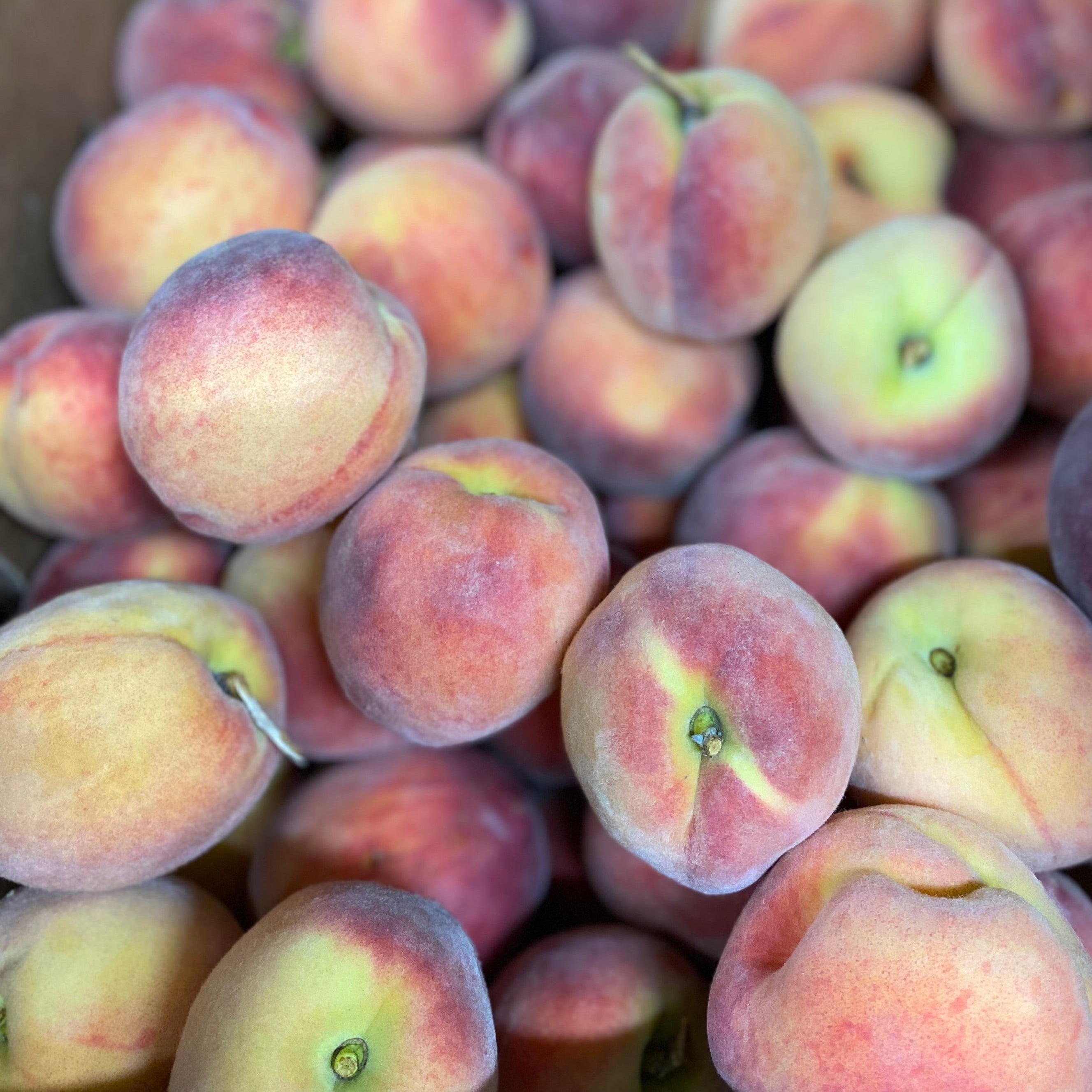 Yellow Peaches- by weight