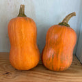Honeynut Squash