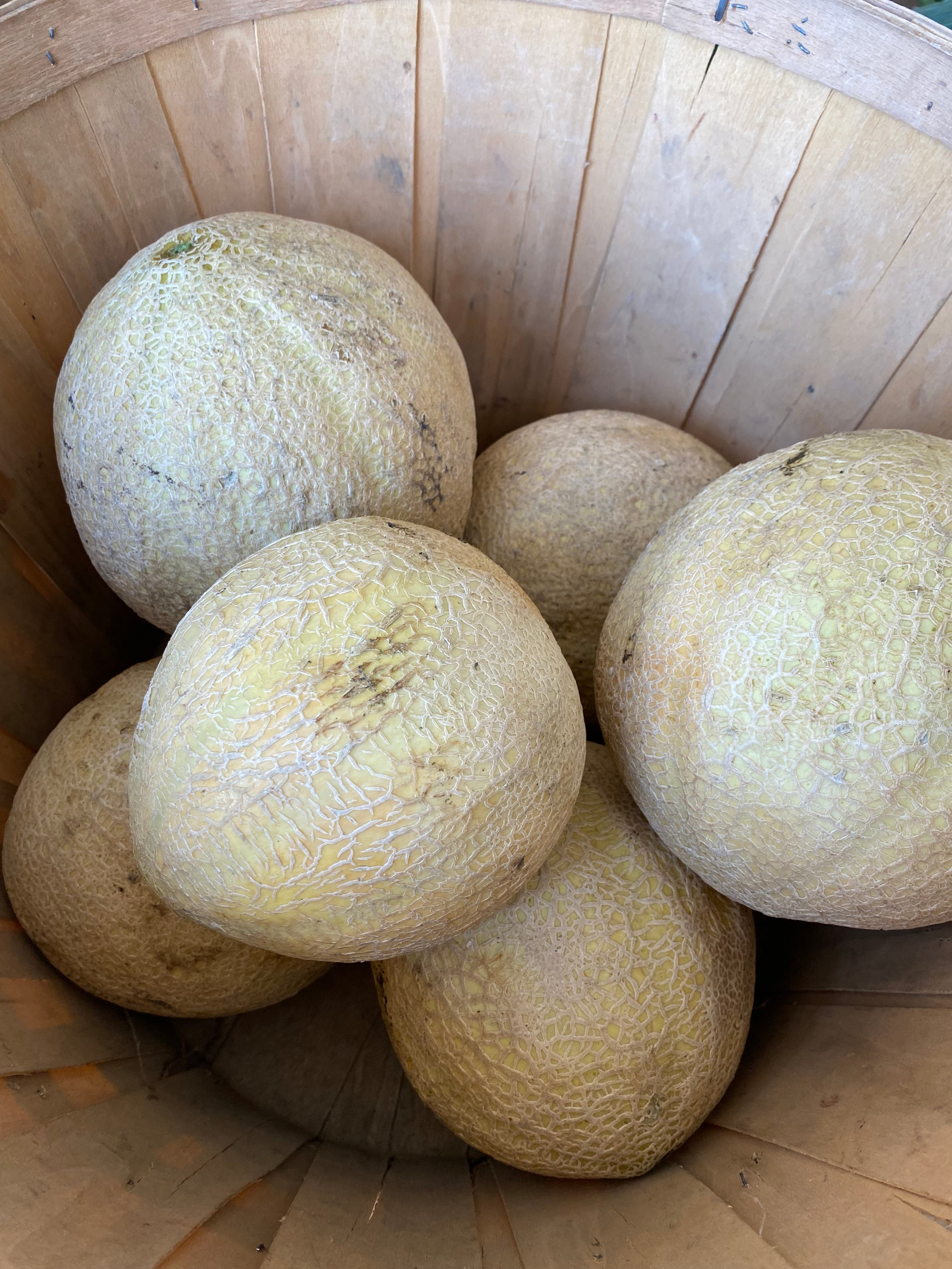 Cantaloupe, 3-4 lbs.