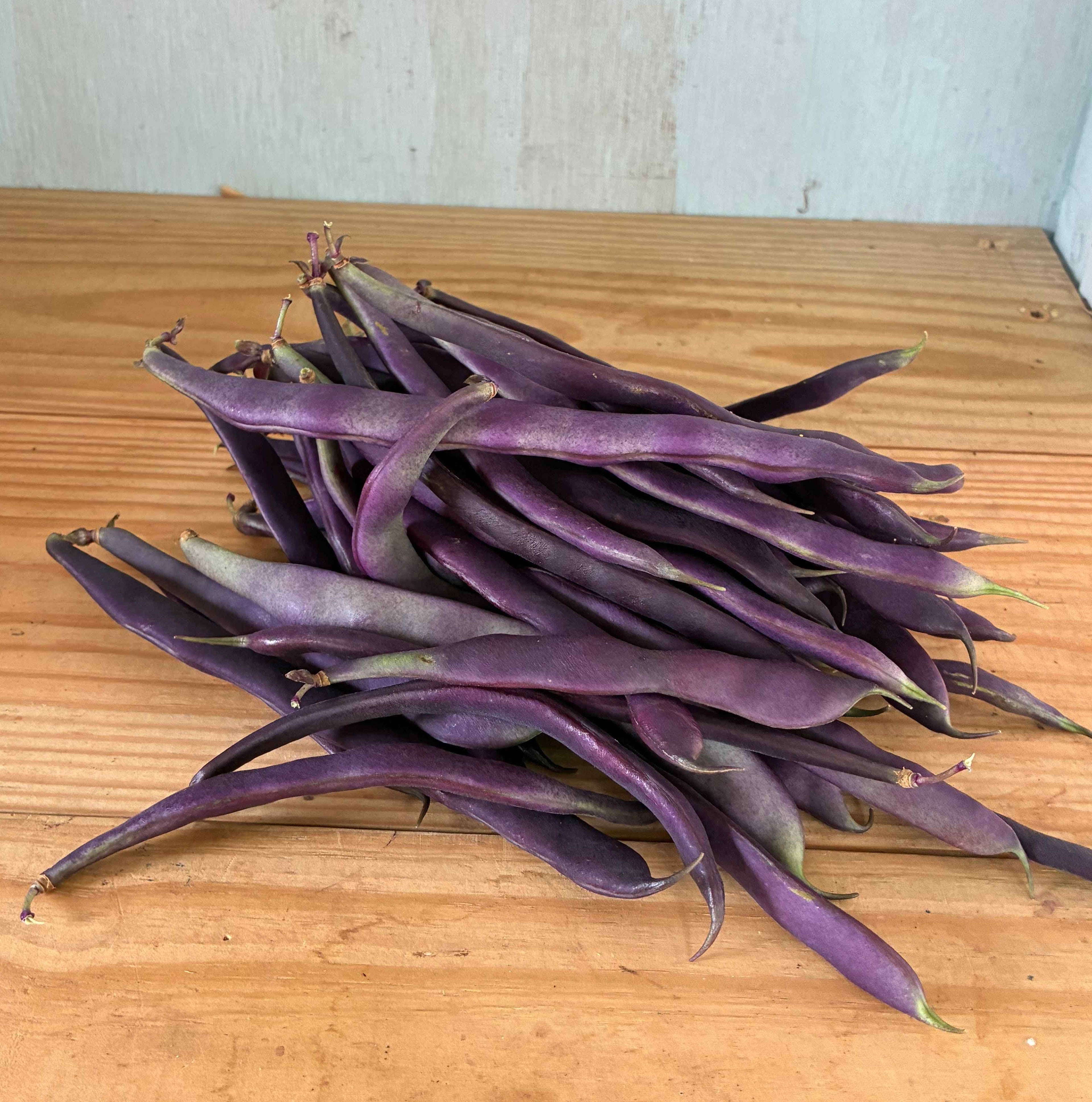 Purple Beans, Heirloom