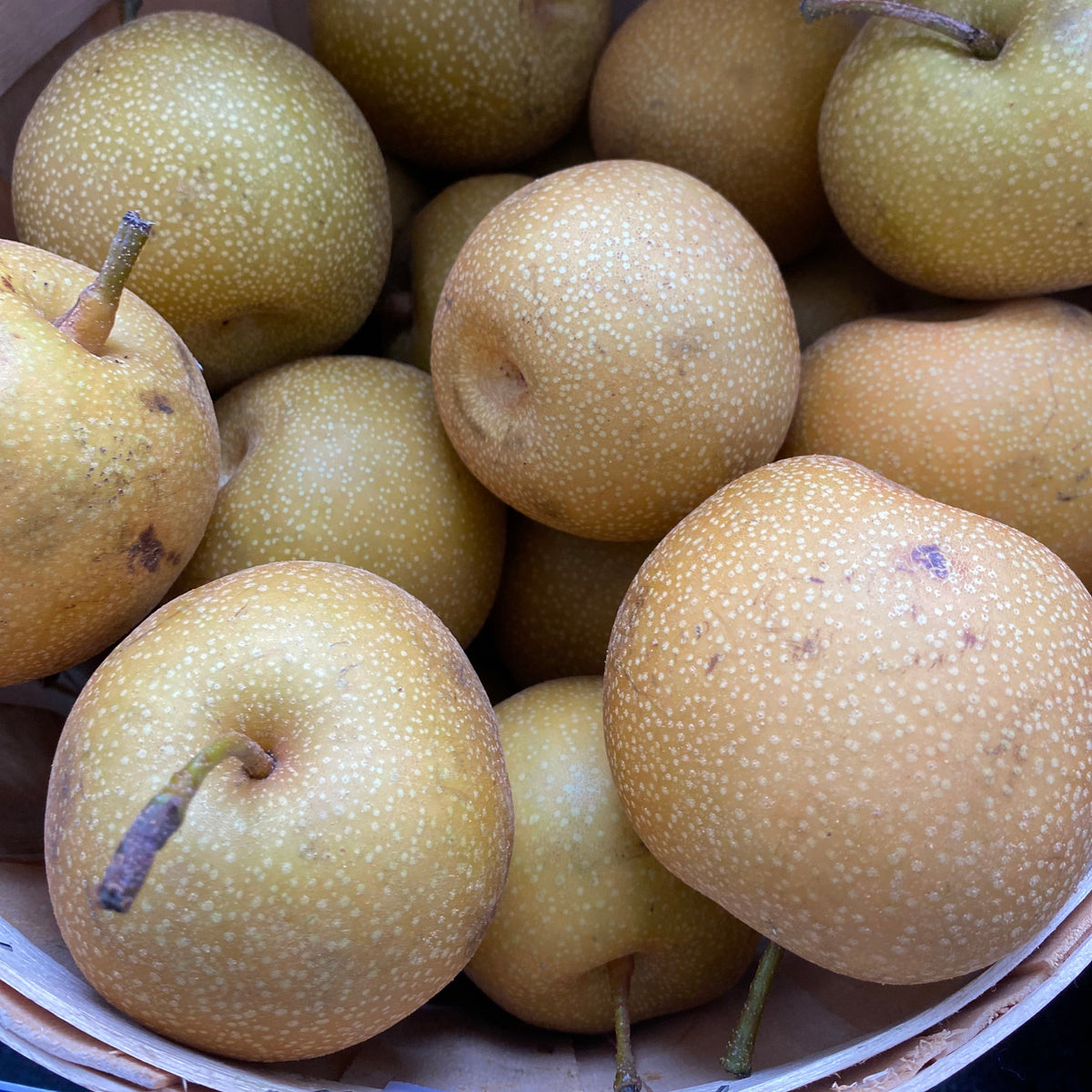 Pears, Asian