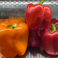 Red and Orange Bell Peppers