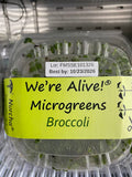 Micro Greens, Broccoli