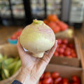 Macomber Turnip