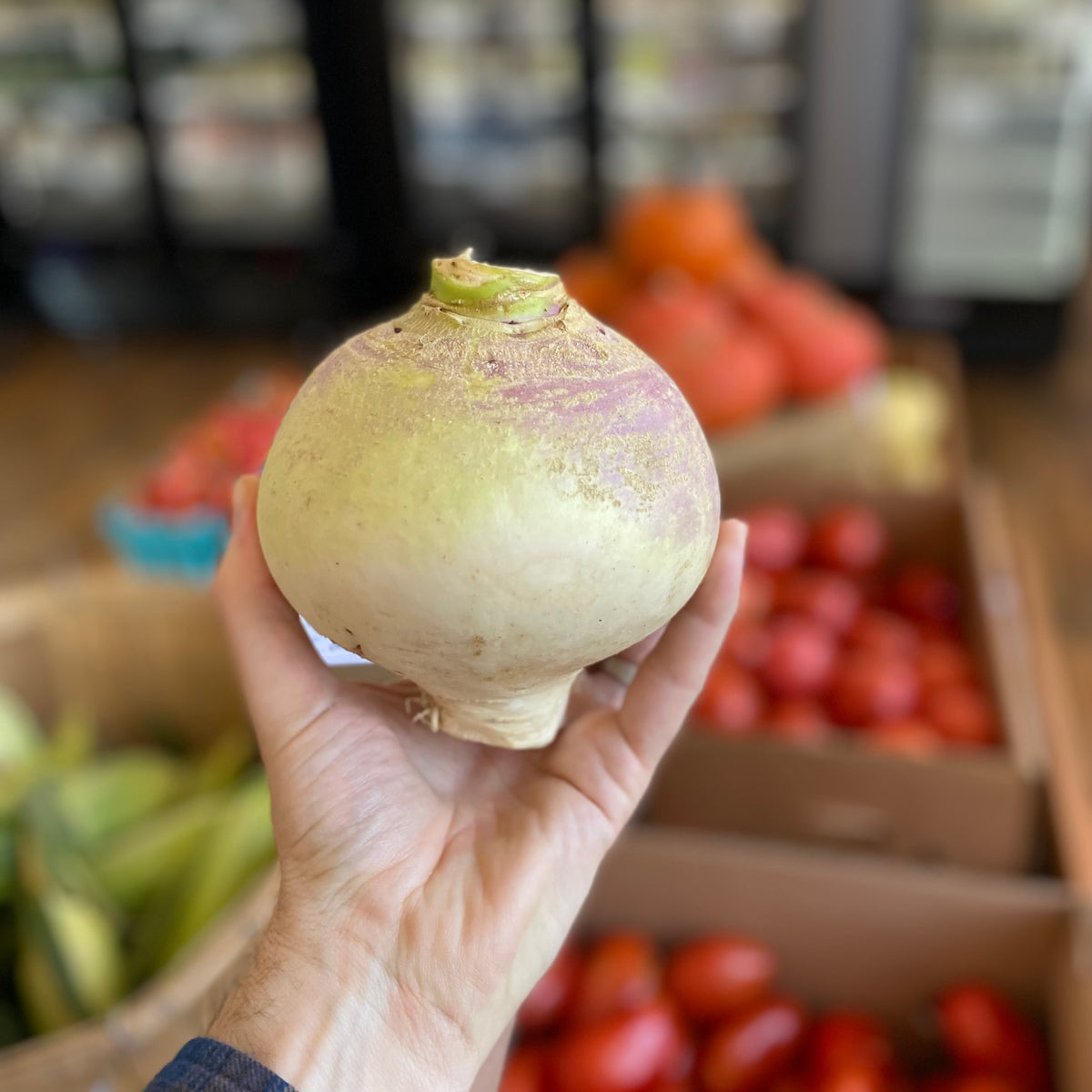 Macomber Turnip