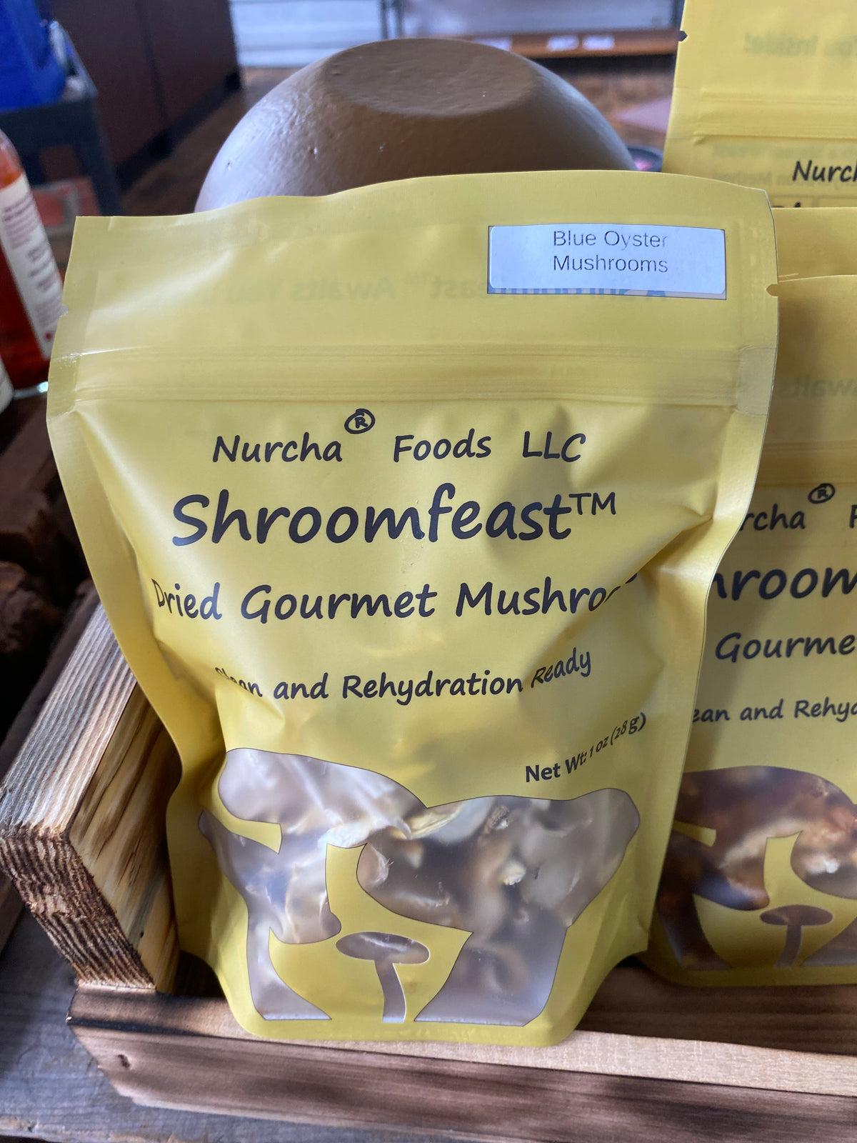 Dried Mushrooms, Blue Oyster
