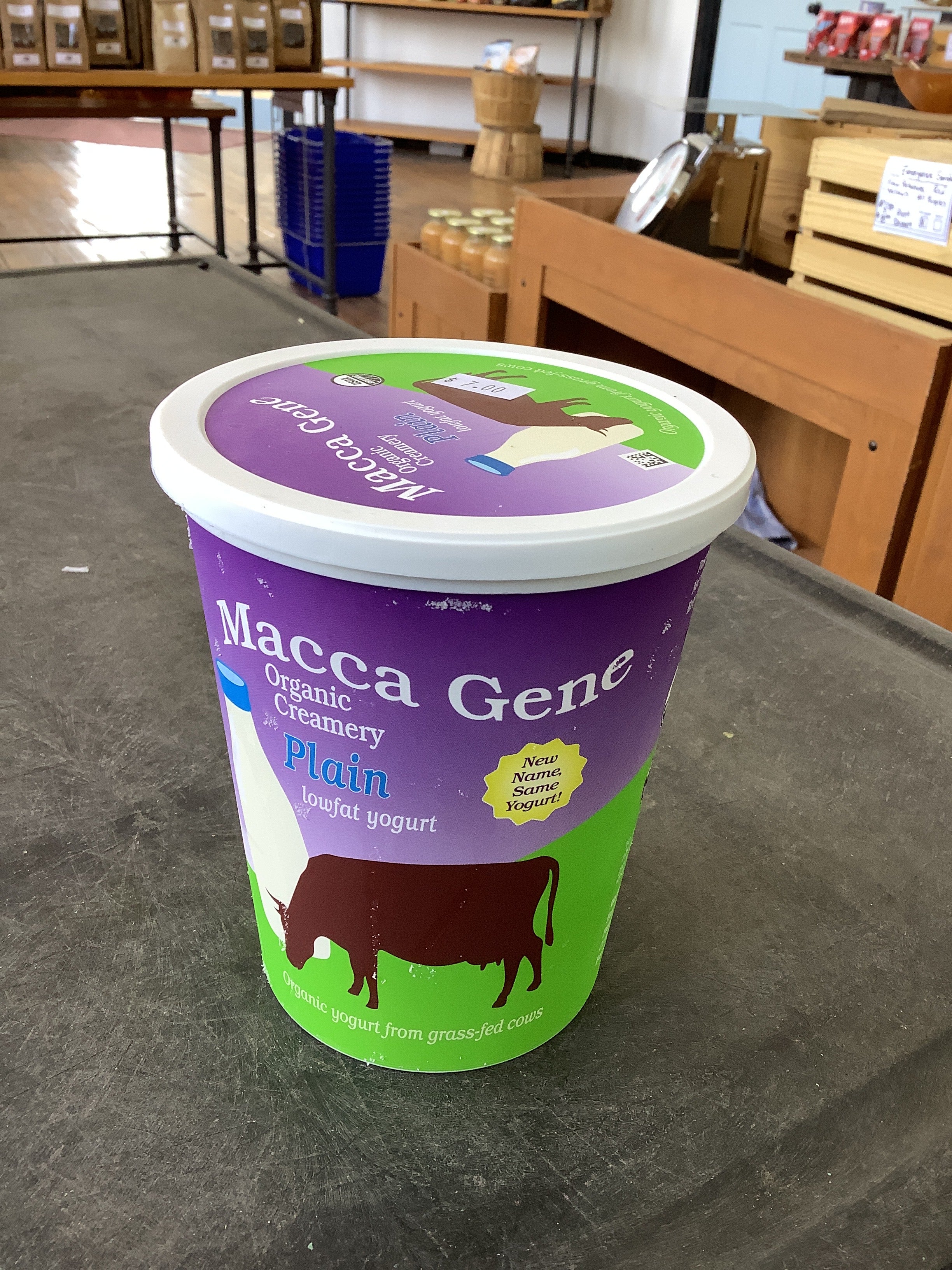 Plain Low-fat Milk Yogurt- Macca Gene
