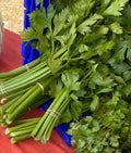Celery