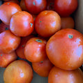 Red Slicer Tomatoes