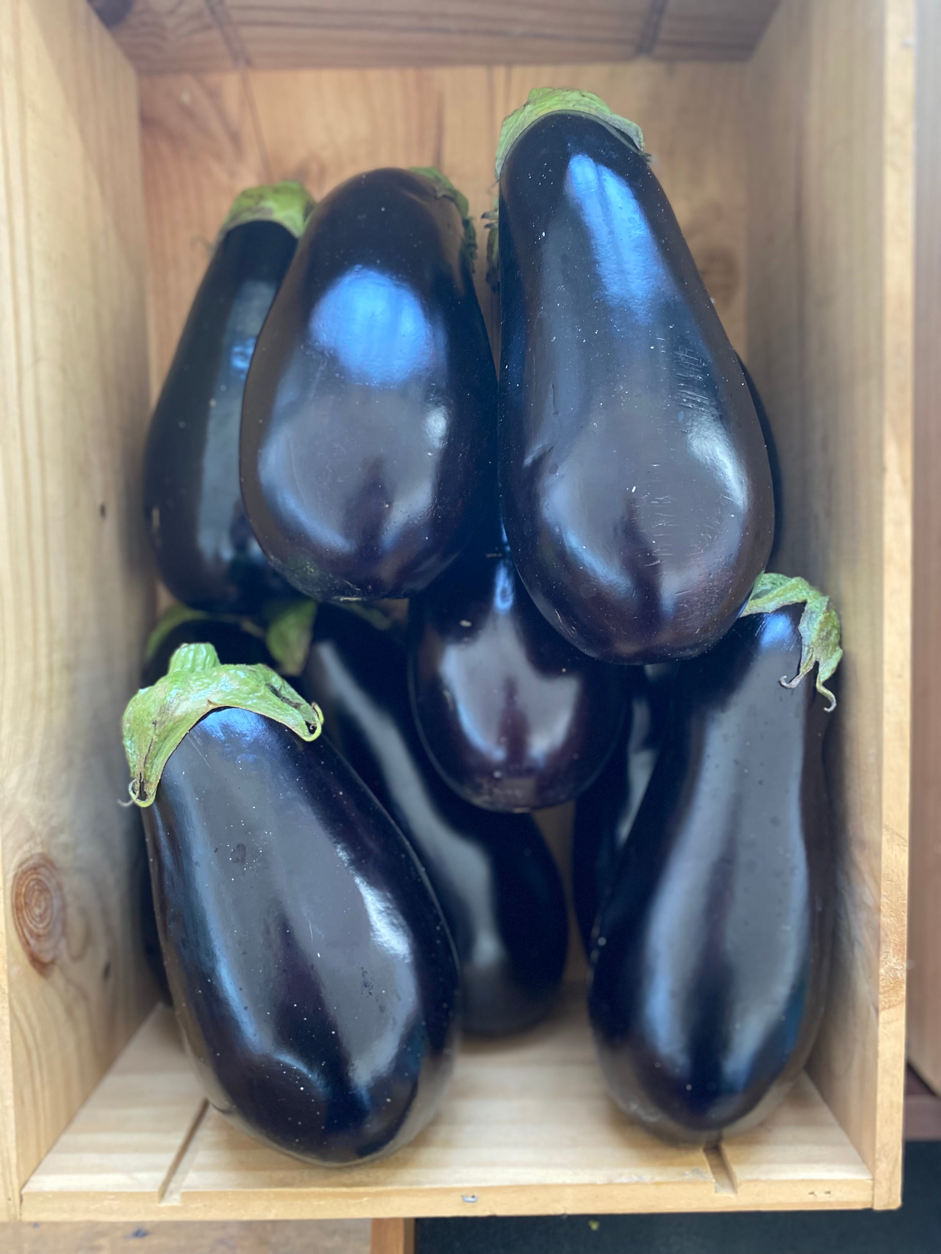 Eggplant, Italian, Organic