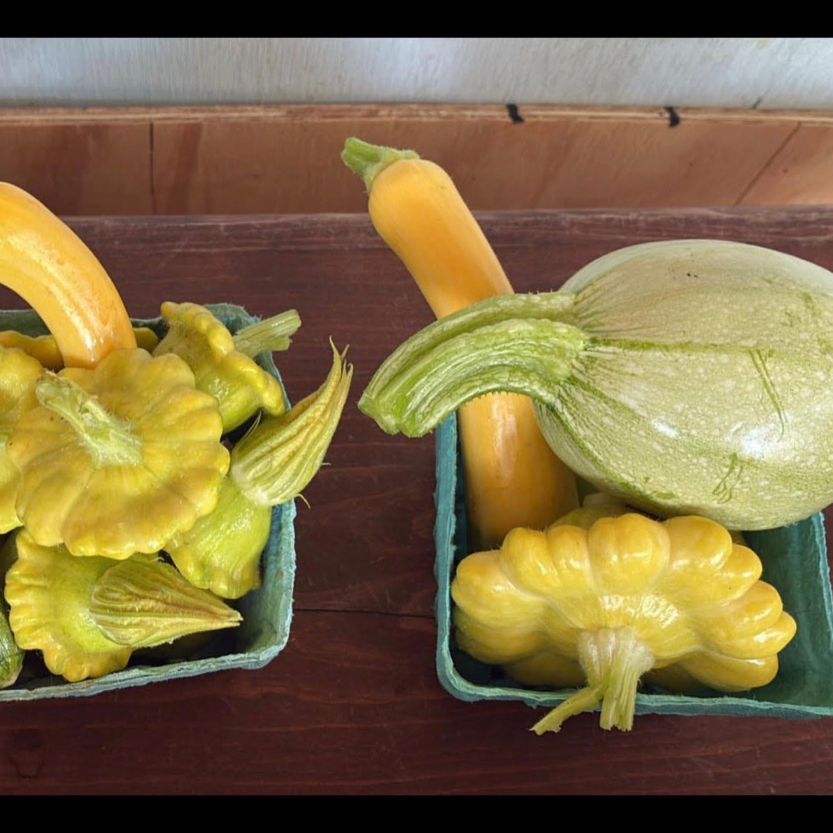 Baby Squash