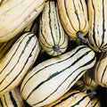 Delicata Squash