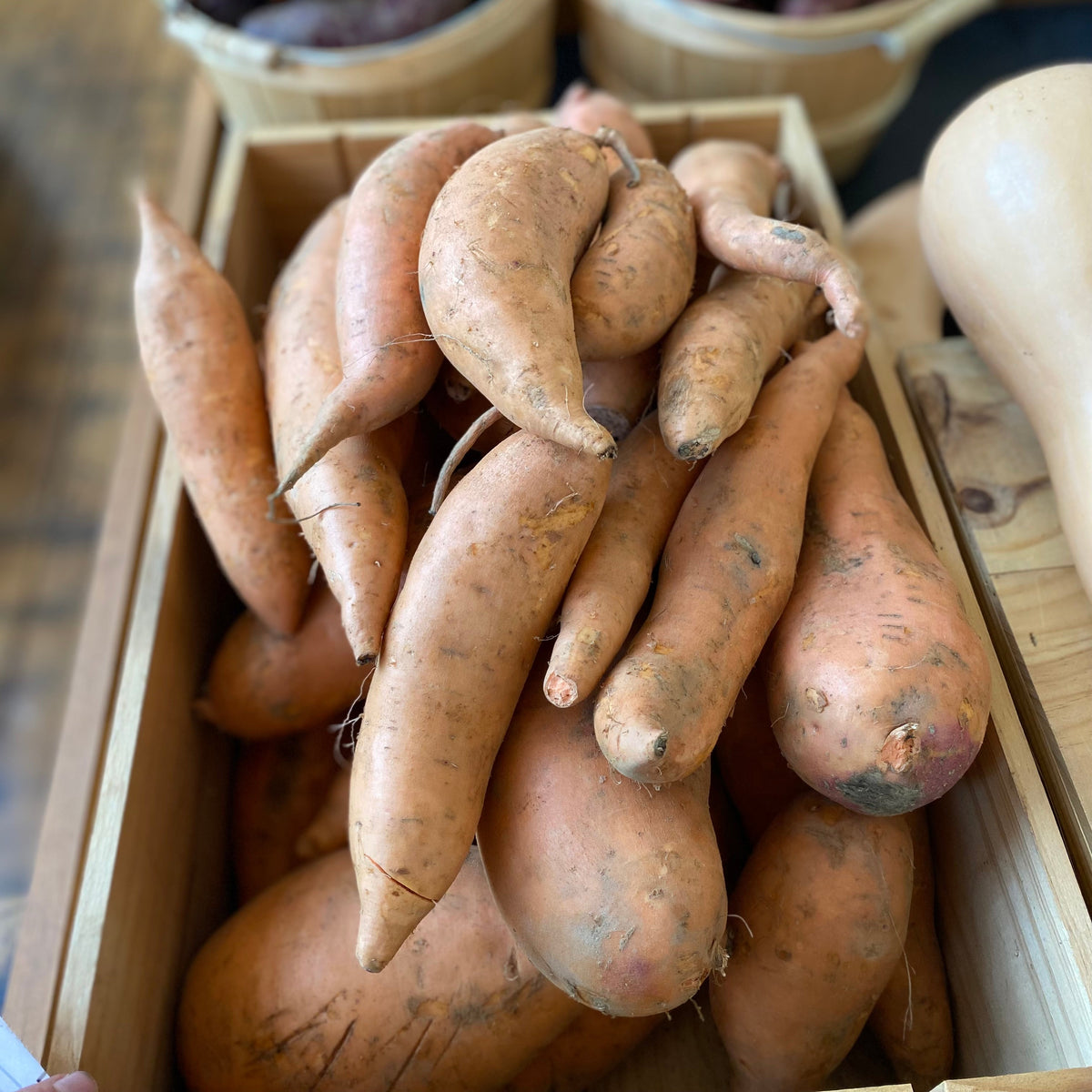 Sweet Potatoes, Orange
