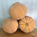 Cantaloupe, Golden Jenny