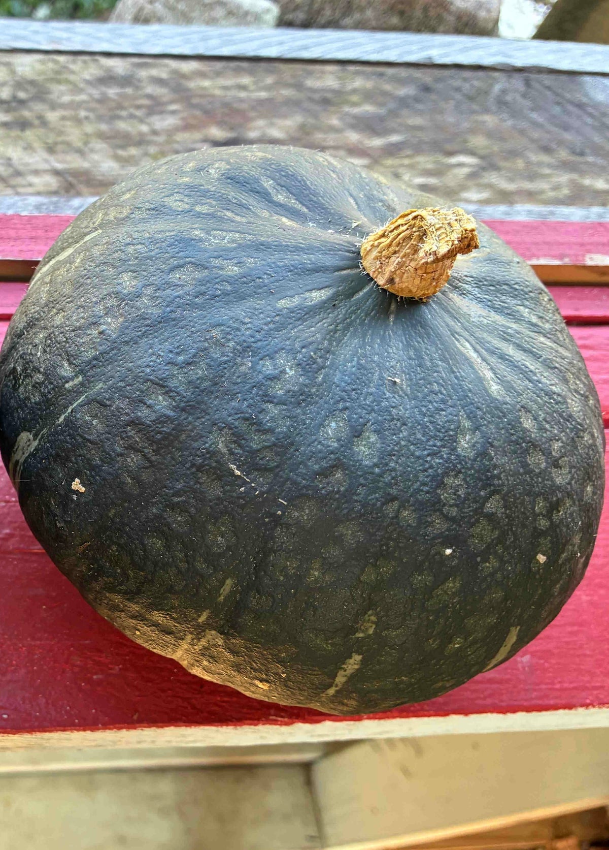 Kabocha Squash