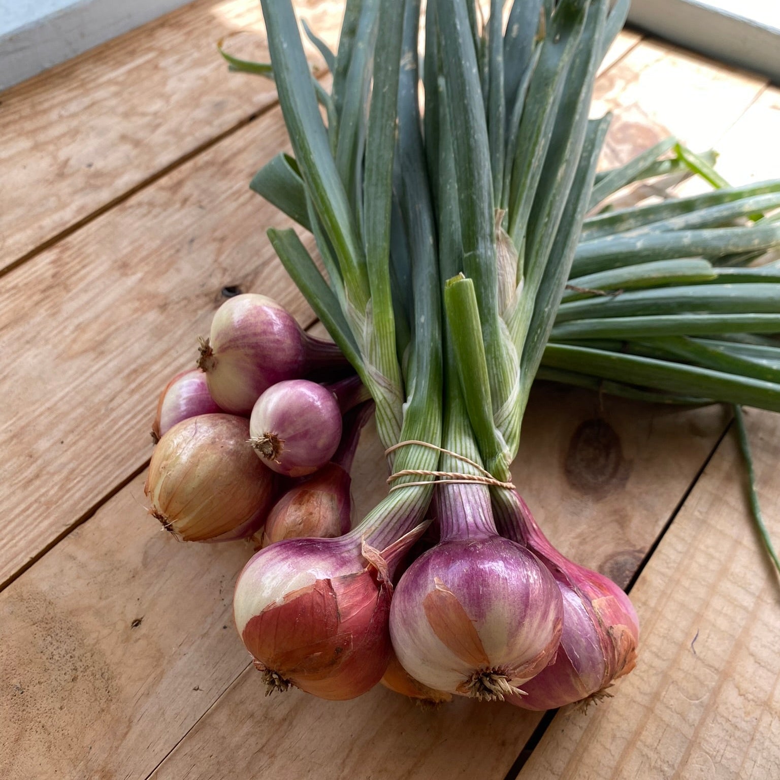 French Red Shallots, Fresh