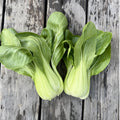 Bok Choy