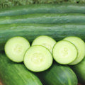 Cucumber, Slicing