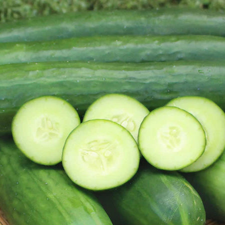Cucumber, Slicing