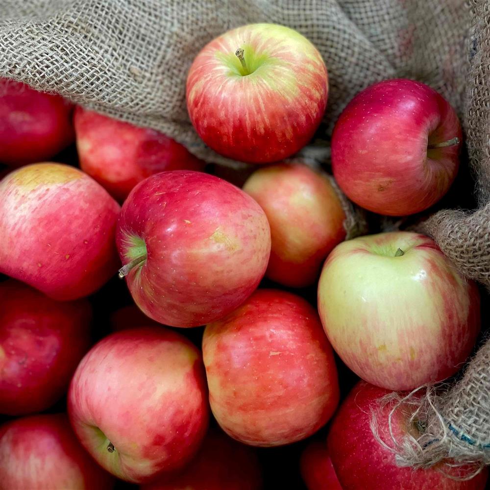 Honeycrisp Apples