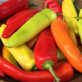 Hungarian Hot Wax Peppers