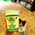 Plain Yogurt- Larson's Creamery