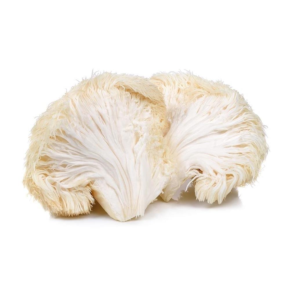 Lions Mane Mushrooms