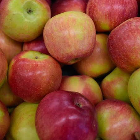 Apples, Macoun