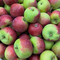 Apples, McIntosh