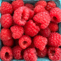 Raspberries