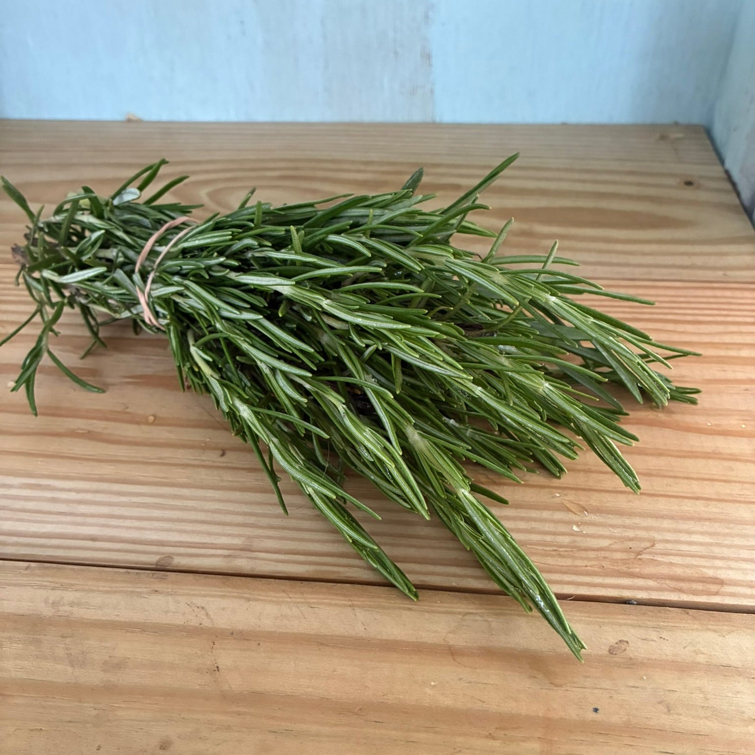Herbs, Rosemary Bunch