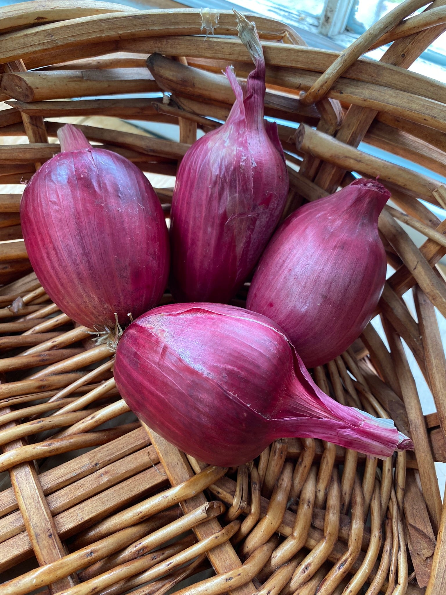 Onions, Rossa di Milano, Italian Red