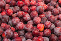 Santa Rosa Plums
