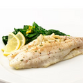 Summer Flounder (Fluke)