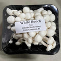 Beech Mushrooms
