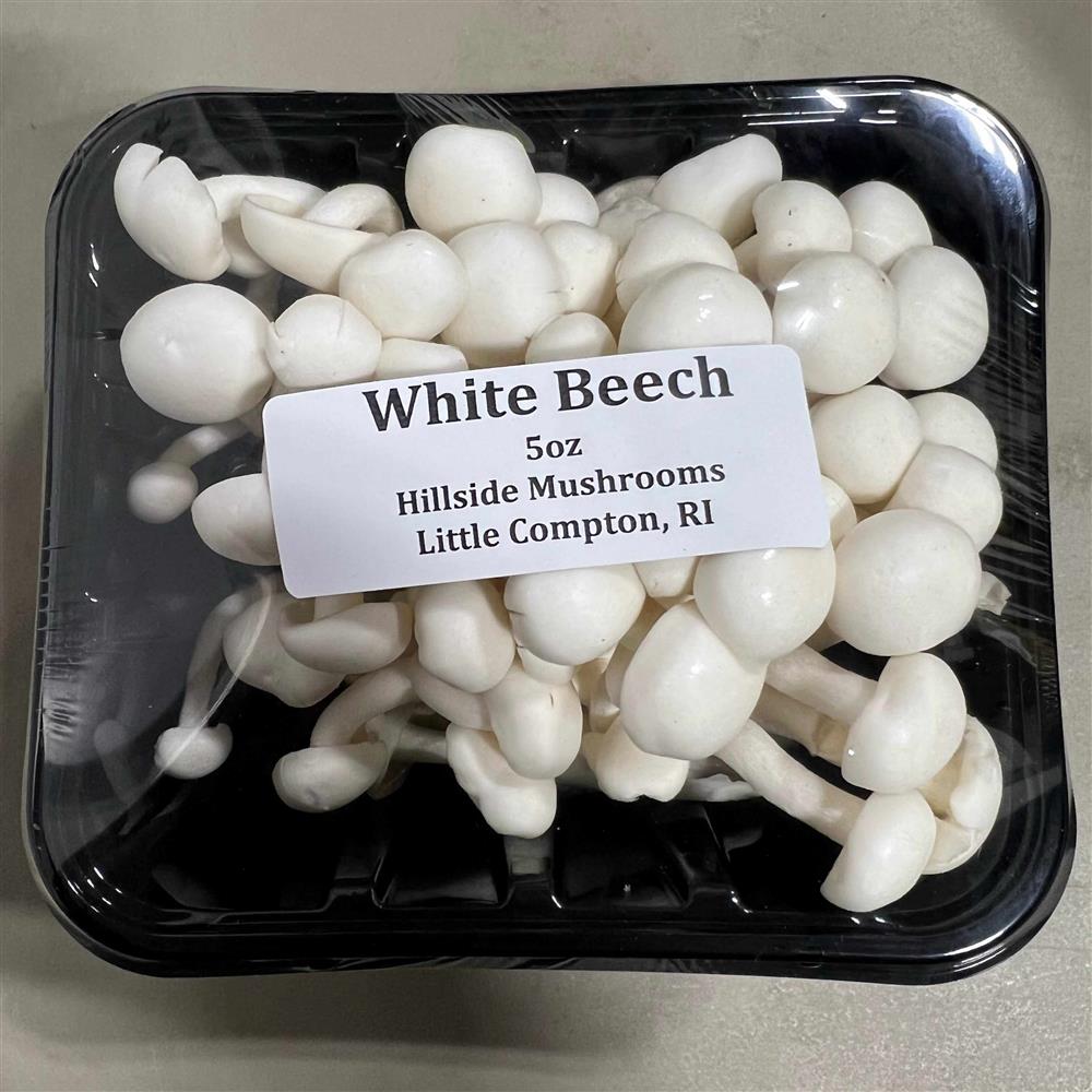 Beech Mushrooms