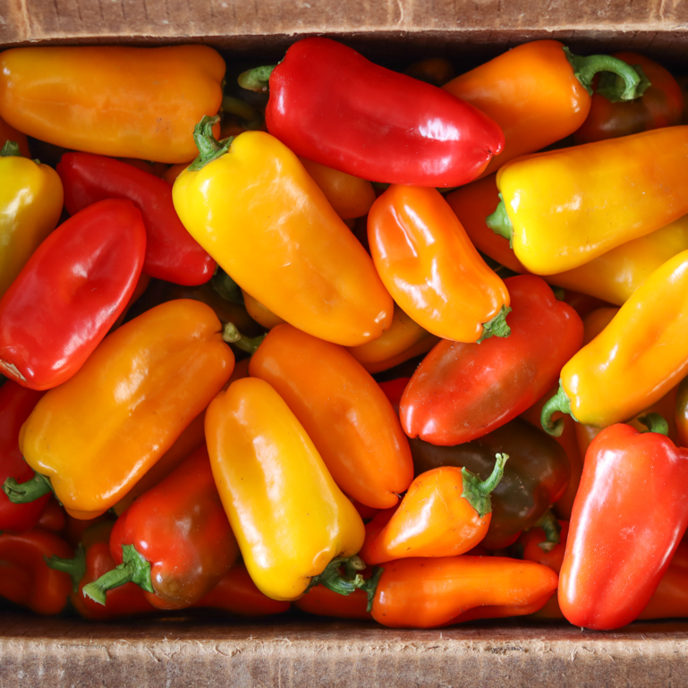 Mini Sweet Peppers
