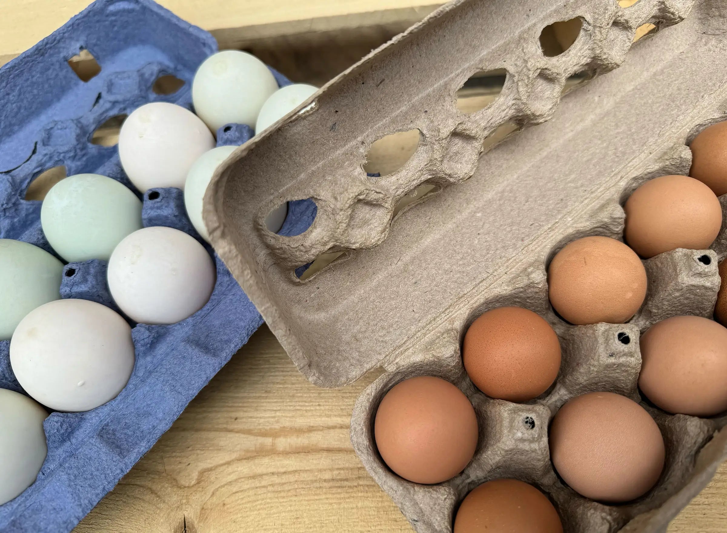 fresh white & brown eggs in cartons on wooden display table at Coastal Foodshed