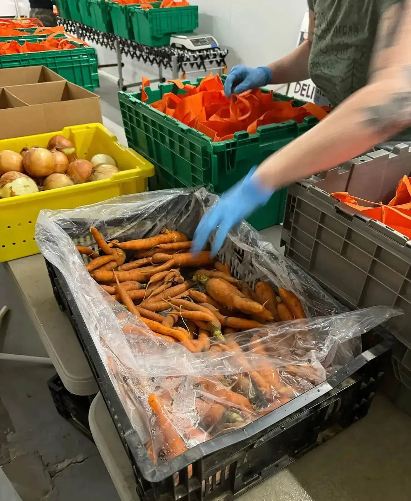 worker pictured with carrots & other fresh produce on tables