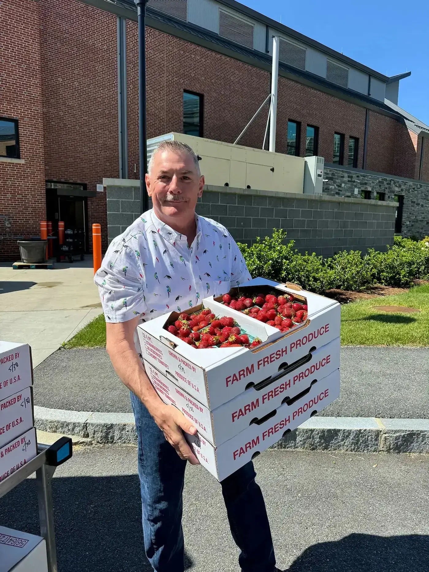 a local farmer pictured outside with crates of fresh strawberries