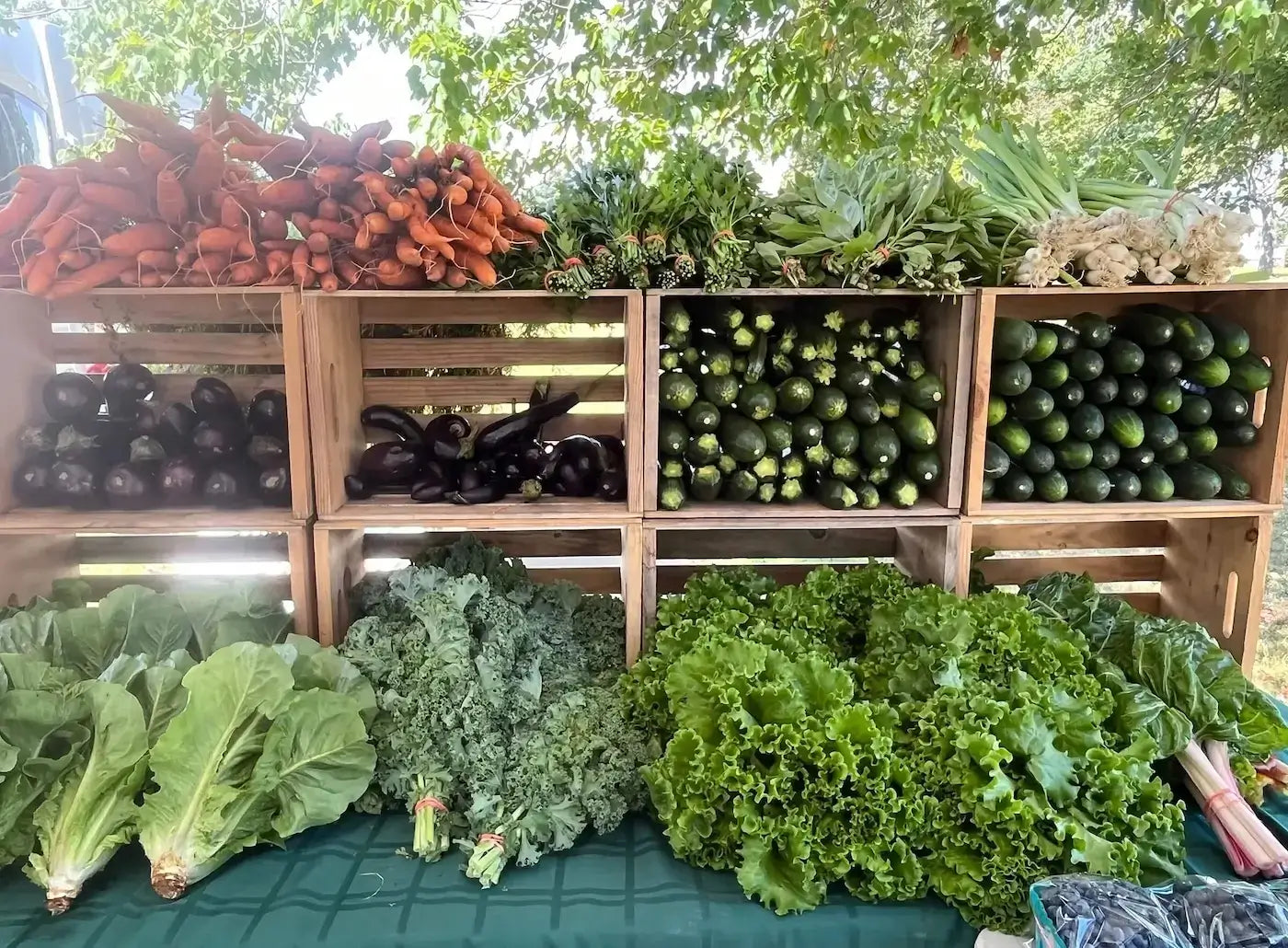 fresh vegetables displayed outside