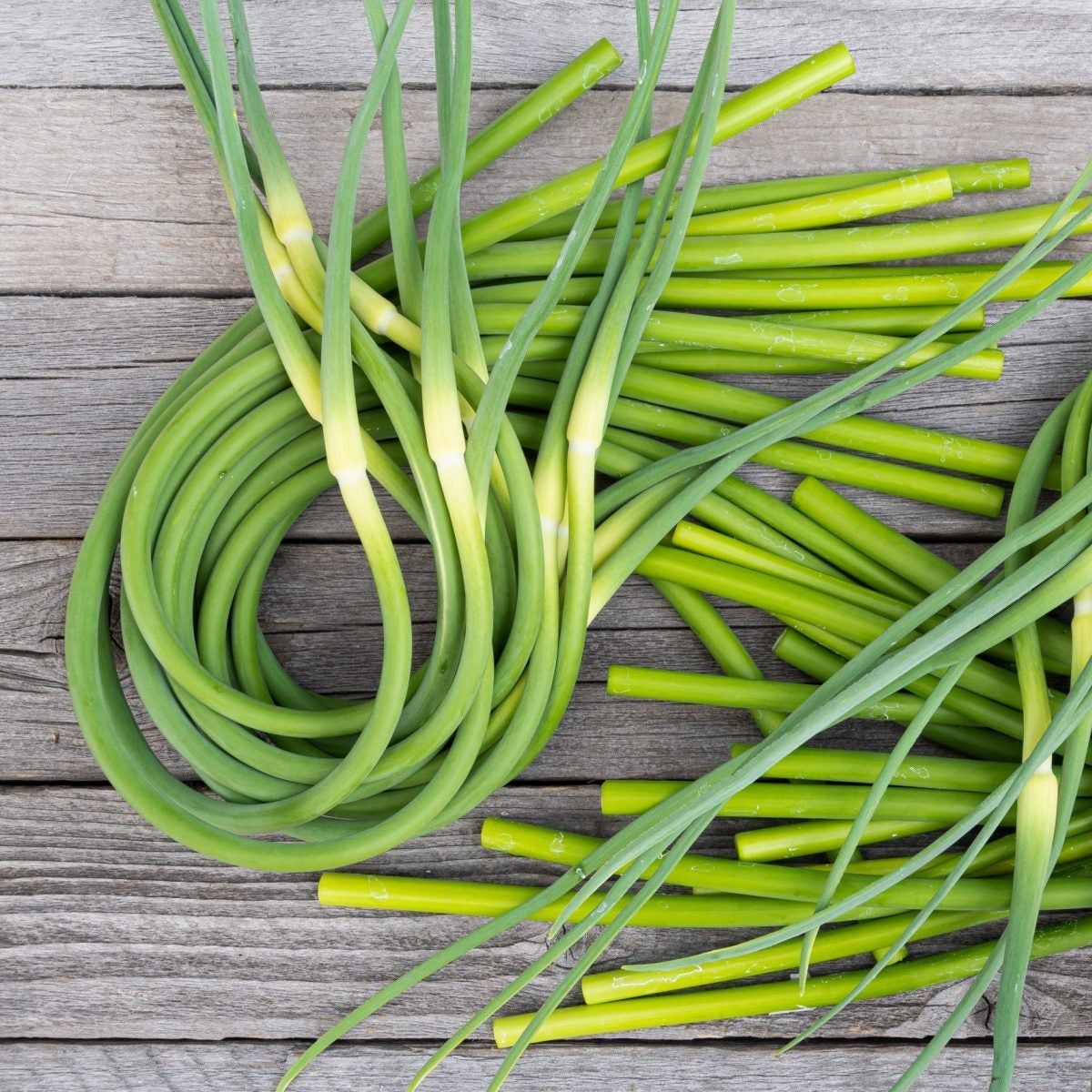 Bunches of green garlic on a wooden surface